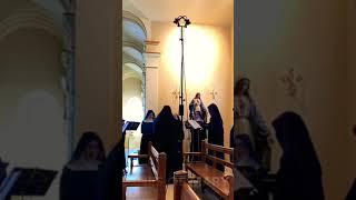 Sneak peek of the charttopping singing nuns The Benedictines of Mary recording latest album [upl. by Oyr]