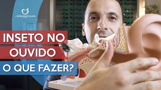 Inseto No Ouvido O Que Fazer [upl. by Eiderf]