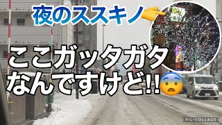 札幌の雪道☃️こんなに違うんですか‼︎😨夜のススキノにもちょっとだけ。 [upl. by Lenahtan]