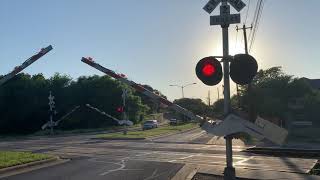 Southbound Amtrak Texas eagle 21 train and northbound Union Pacific mix freight train at dittmar RD [upl. by Acireed]