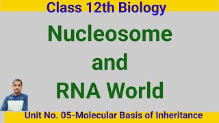 NucleosomeClass 12th Biologydrnyr755 [upl. by Jemmy]