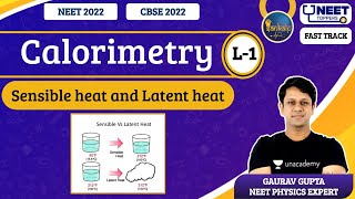 Phoenix 20 Physics Most Important Video for NEET 2025  Unacademy NEET Toppers  NEET [upl. by Irv260]