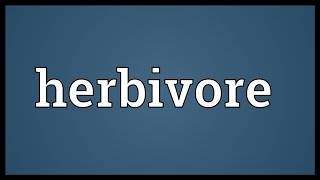 Herbivore Meaning [upl. by Demmer]