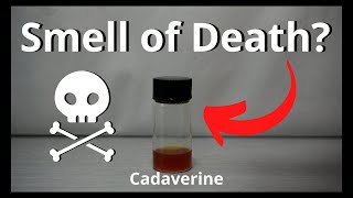 Smell of Death  Cadaverine Cadaverine GiveAway [upl. by Fidole160]