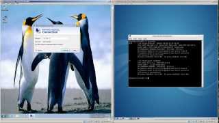 Install Minimum Lubuntu LXDE Desktop And Windows RDP Server into Ubuntu 1204 Server [upl. by Jonna]