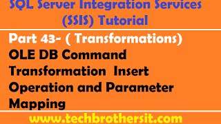 SSIS Tutorial Part 43 Intro What is OLE DB Command Transformation  Quick Demo [upl. by Bethanne]