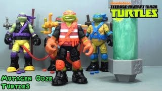 Video Review of the TMNT Mutagen Ooze Turtles [upl. by Ary]