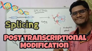 Post Transcriptional Modification  5 Capping  3 Poly Adenylation  Splicing RNA ThiNK VISION [upl. by Grata]