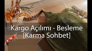 Paket Açılımı  Besleme VLOG  Agresif Kaplumbağa  Karidesler  Akrep vs [upl. by Hayila]