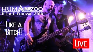 Human Zoo Live  Like a Bitch  HEAT Festival 2018  Rockfabrik Ludwigsburg [upl. by Damalis931]