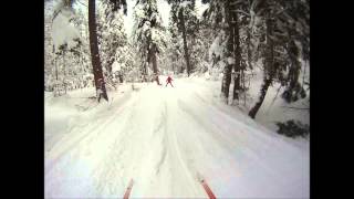 Traversée du Vercors en ski de fond 2014 [upl. by Nnylatsyrk]