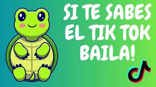 ❤️Si Te Sabes El Tiktok Baila 2024❤️ [upl. by Gerlac360]