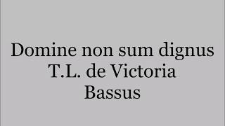 Domine non sum dignus  TL de Victoria  basse [upl. by Cirala]