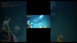 VIDEO INÉDITO DEL SUMERGIBLE DE OCEANGATE titanic [upl. by Shaper]