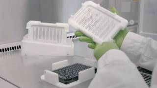 Perform HighThroughput TEER Measurements in Advanced 3D Tissue Cultures with OrganoTEER® [upl. by Andromede]