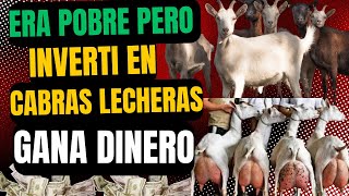 Cómo ser exitoso con tu negocio de leche de cabra🐐🥛como iniciar un negocio de cabras lecheras🐐🥛 [upl. by Alburga846]