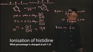 Ionisation of histidine [upl. by Niai887]