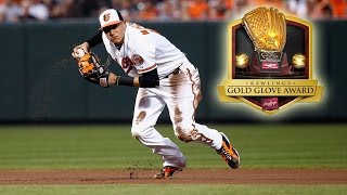 Manny Machado • Defensive Highlights • 2016 [upl. by Neuberger972]