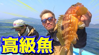 むねお船？でタイを狙ってたら高級魚が釣れた！ [upl. by Euton]