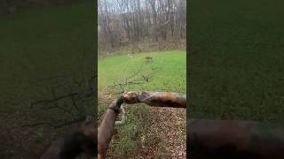 Bucks are Rutting in Southern Illinois buck deer hunting [upl. by Oinimreh]