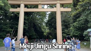 Meiji Jingu Shrine  Tokyo Japan ✰ [upl. by Morril]