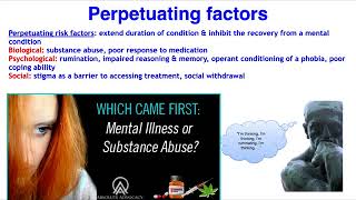 4PF model of mental health risk factors  VCE Psychology [upl. by Spear]