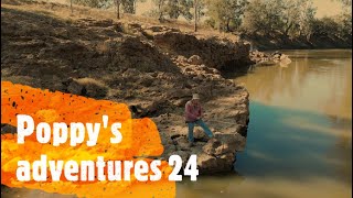 Poppys adventures 24  Pilliga Yowie  Golden perch  Game cam  kayak fishing  lure fishing [upl. by Verna372]