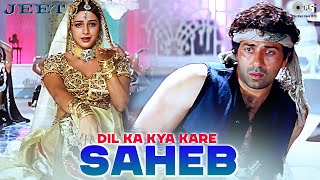 Dil Ka Kya Kare Saheb  Jeet  Sunny Deol Tabu  Kavita Krishnamurthy  90s Hits [upl. by Enoval]