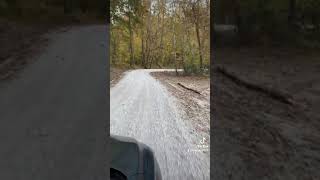 Back roads driving countryroads cumberlandriverky [upl. by Nyhagen326]