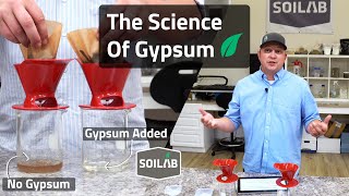 Gypsum Science amp Benefits for Lawn amp Garden [upl. by Enirahtac716]