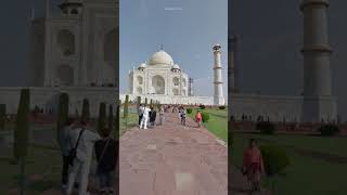 Taj Mahal View shorts [upl. by Atinrahs]