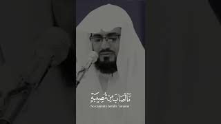 القران اشترك لايك الصلاة [upl. by Hairabez]