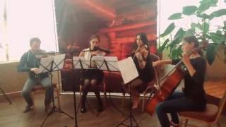 Hearthstone Cafe Fireplace Moscow  Live music [upl. by Ihtac]