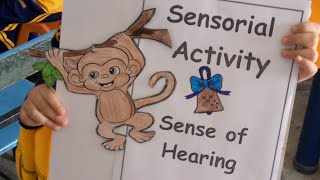 sensorial activity sense of hearing [upl. by Pepito]