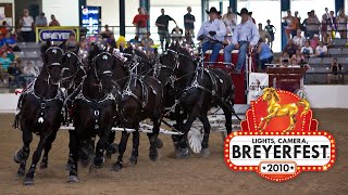 Best of BreyerFest 2010  Breyer Model Horses [upl. by Eedyaj]