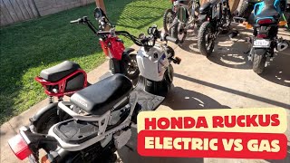 Electric VS Gas Honda Ruckus Comparison [upl. by Notna486]