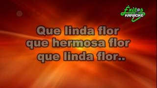 🔴 QUE LINDA FLOR KARAOKE HD  COMPLETO [upl. by Artimas217]