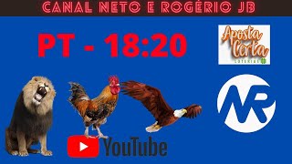 RESULTADO AO VIVO ROGERIO E NETO JB  PTN 28112024 [upl. by Aeuhsoj]