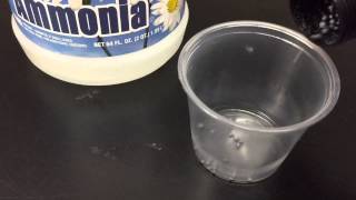 How to make exploding NITROGEN TRIIODIDE NI3 [upl. by Maillw]