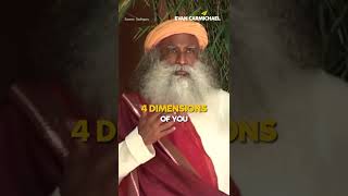 You Need To Organize Your Mind  Sadhguru  Shorts [upl. by Isidro694]