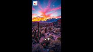 Discover the Wonders of Arizona [upl. by Enila]