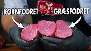 Vi Tester Forskellen På Græsfodret vs Kornfodret Oksemørbrads [upl. by Trebornhoj]