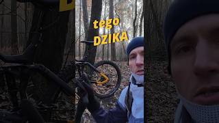 Recenzja  Rower Elektryczny HAIBIKE NDURO 6 [upl. by Eciuqram698]