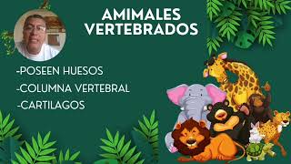 Animales vertebrados e invertebrados [upl. by Hacissej646]