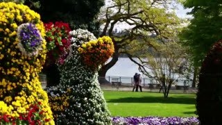 Insel Mainau Bodensee Germany many flowers and blossoms [upl. by Aneeg]