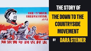 The quotDown to the Countryside Movementquot Chinas Stolen Generation Explained [upl. by Potash]