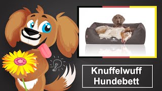 🐶 Knuffelwuff Hundebett – Einschätzung und Kaufratgeber [upl. by Nithsa]