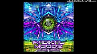 Radikal Moodz  Strange Journey Original Mix [upl. by Giardap]