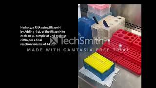 Sample preparation for Affymetrix GeneChip Clariom D Microarray [upl. by Kyrstin527]