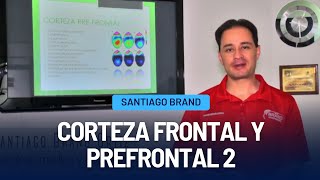 Corteza Frontal y Prefrontal 2  Santiago Brand [upl. by Akalam]